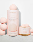 Marshmallow Set of Four & Minis Bundle