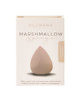 Almond Cheesecake - Marshmallow Sponge - Shape 1