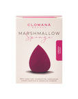 Grape Sorbet - Marshmallow Sponge - Shape 1