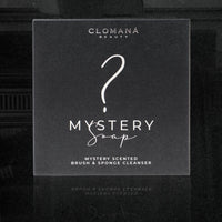 Mystery Brush & Sponge Cleanser