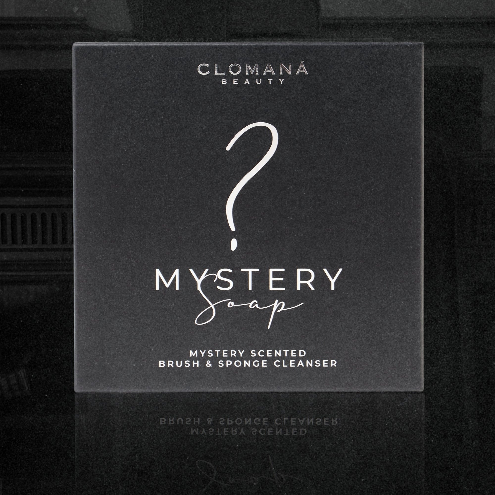 Mystery Brush & Sponge Cleanser