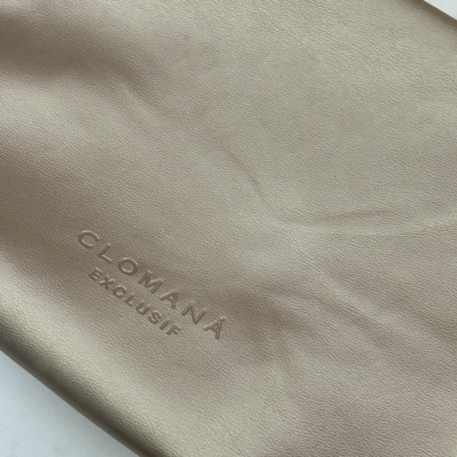 Clomaná Exclusif Cosmetic Bag in GOLD