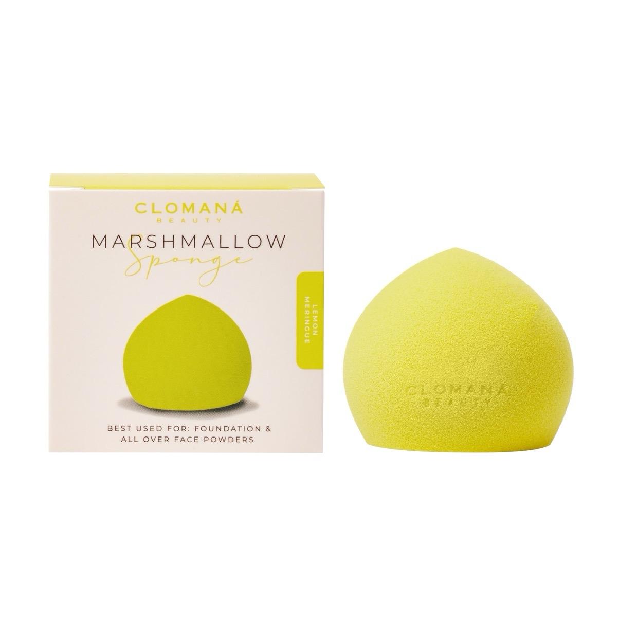 Lemon Meringue Marshmallow Sponge Shape 2