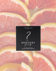 Mystery Brush & Sponge Cleanser