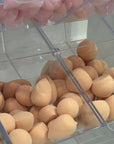 Pick n Mix Marshmallow Sponges